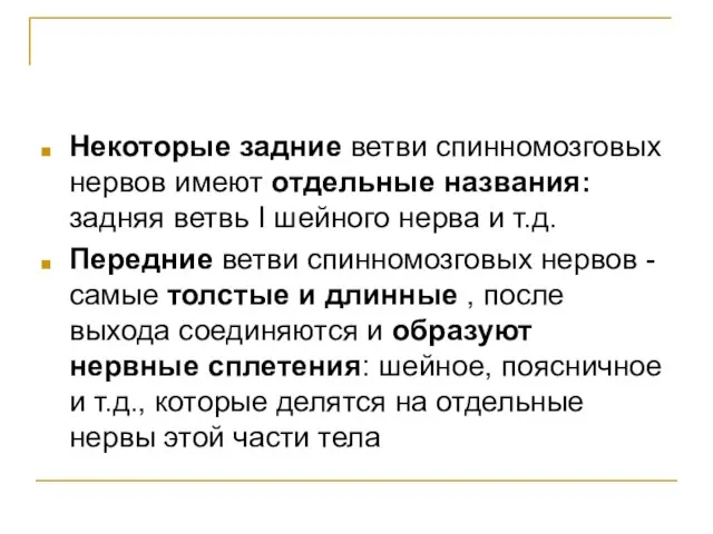 Некоторые задние ветви спинномозговых нервов имеют отдельные названия: задняя ветвь I