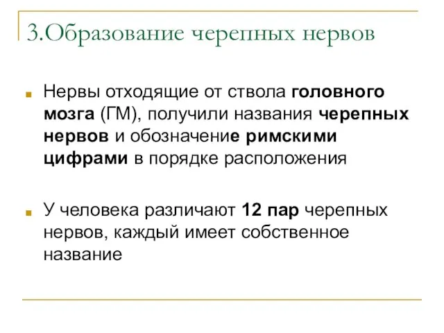 3.Образование черепных нервов Нервы отходящие от ствола головного мозга (ГМ), получили