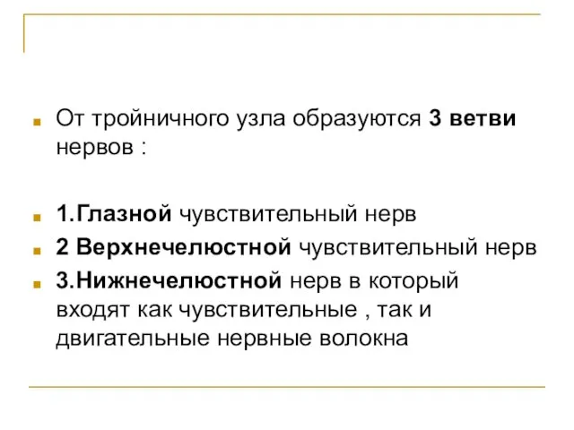 От тройничного узла образуются 3 ветви нервов : 1.Глазной чувствительный нерв