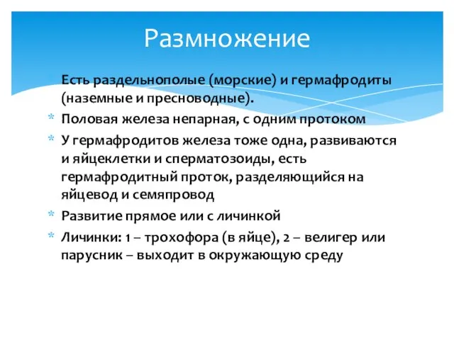 Есть раздельнополые (морские) и гермафродиты (наземные и пресноводные). Половая железа непарная,