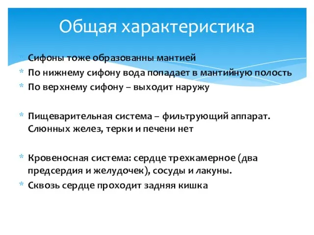 Сифоны тоже образованны мантией По нижнему сифону вода попадает в мантийную