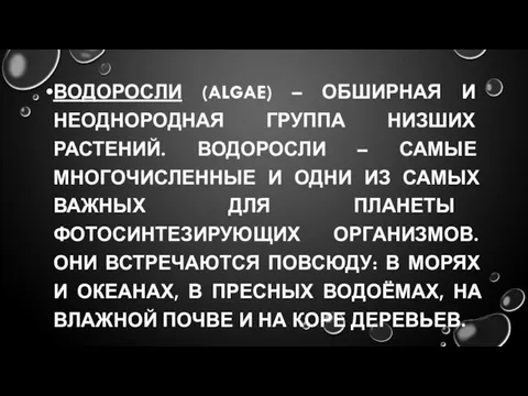 ВОДОРОСЛИ (ALGAE) – ОБШИРНАЯ И НЕОДНОРОДНАЯ ГРУППА НИЗШИХ РАСТЕНИЙ. ВОДОРОСЛИ –