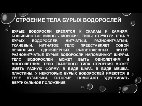 СТРОЕНИЕ ТЕЛА БУРЫХ ВОДОРОСЛЕЙ БУРЫЕ ВОДОРОСЛИ КРЕПЯТСЯ К СКАЛАМ И КАМНЯМ,