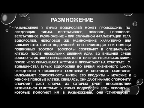 РАЗМНОЖЕНИЕ РАЗМНОЖЕНИЕ У БУРЫХ ВОДОРОСЛЕЙ МОЖЕТ ПРОИСХОДИТЬ ПО СЛЕДУЮЩИМ ТИПАМ: ВЕГЕТАТИВНОЕ,