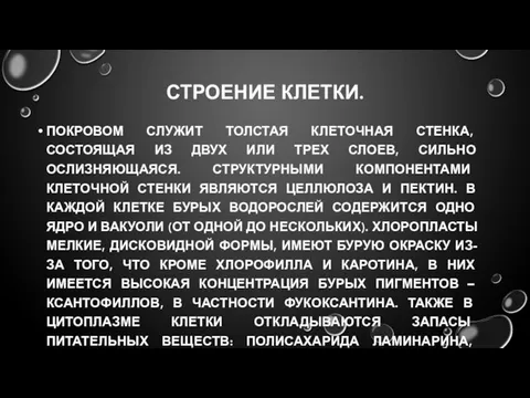 СТРОЕНИЕ КЛЕТКИ. ПОКРОВОМ СЛУЖИТ ТОЛСТАЯ КЛЕТОЧНАЯ СТЕНКА, СОСТОЯЩАЯ ИЗ ДВУХ ИЛИ