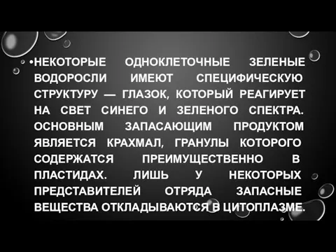 НЕКОТОРЫЕ ОДНОКЛЕТОЧНЫЕ ЗЕЛЕНЫЕ ВОДОРОСЛИ ИМЕЮТ СПЕЦИФИЧЕСКУЮ СТРУКТУРУ — ГЛАЗОК, КОТОРЫЙ РЕАГИРУЕТ