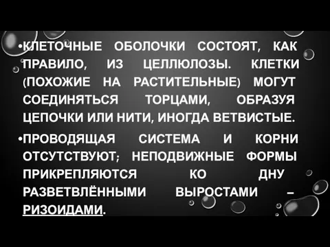 КЛЕТОЧНЫЕ ОБОЛОЧКИ СОСТОЯТ, КАК ПРАВИЛО, ИЗ ЦЕЛЛЮЛОЗЫ. КЛЕТКИ (ПОХОЖИЕ НА РАСТИТЕЛЬНЫЕ)