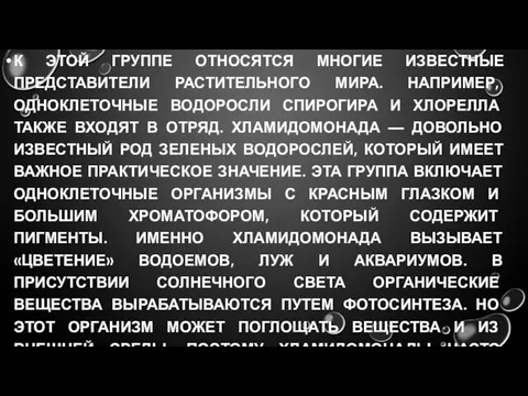 К ЭТОЙ ГРУППЕ ОТНОСЯТСЯ МНОГИЕ ИЗВЕСТНЫЕ ПРЕДСТАВИТЕЛИ РАСТИТЕЛЬНОГО МИРА. НАПРИМЕР, ОДНОКЛЕТОЧНЫЕ