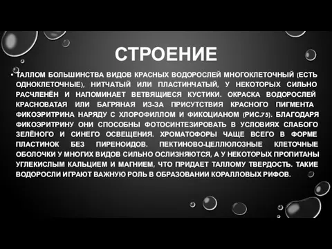 СТРОЕНИЕ ТАЛЛОМ БОЛЬШИНСТВА ВИДОВ КРАСНЫХ ВОДОРОСЛЕЙ МНОГОКЛЕТОЧНЫЙ (ЕСТЬ ОДНОКЛЕТОЧНЫЕ), НИТЧАТЫЙ ИЛИ