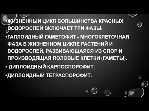 ЖИЗНЕННЫЙ ЦИКЛ БОЛЬШИНСТВА КРАСНЫХ ВОДОРОСЛЕЙ ВКЛЮЧАЕТ ТРИ ФАЗЫ: ГАПЛОИДНЫЙ ГАМЕТОФИТ -