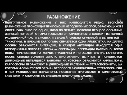 РАЗМНОЖЕНИЕ ВЕГЕТАТИВНОЕ РАЗМНОЖЕНИЕ У НИХ НАБЛЮДАЕТСЯ РЕДКО. БЕСПОЛОЕ РАЗМНОЖЕНИЕ ПРОИСХОДИТ ПРИ