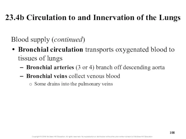 23.4b Circulation to and Innervation of the Lungs Blood supply (continued)