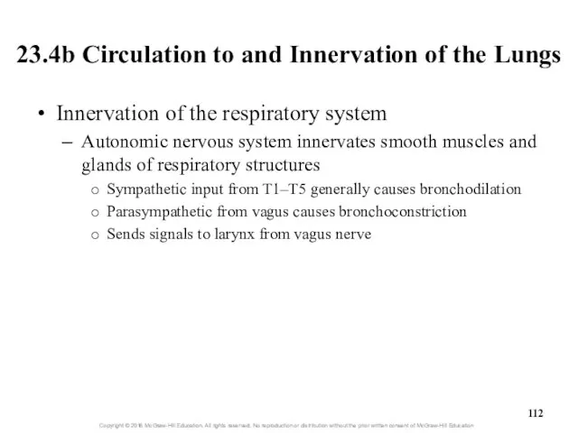 23.4b Circulation to and Innervation of the Lungs Innervation of the