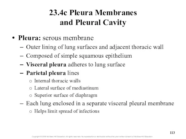 23.4c Pleura Membranes and Pleural Cavity Pleura: serous membrane Outer lining