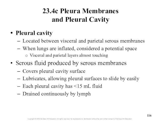 23.4c Pleura Membranes and Pleural Cavity Pleural cavity Located between visceral