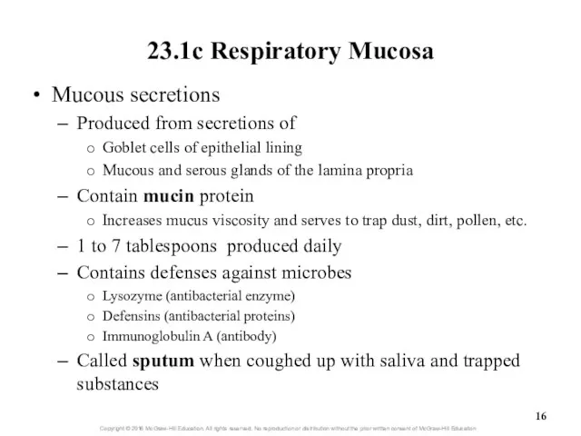 23.1c Respiratory Mucosa Mucous secretions Produced from secretions of Goblet cells