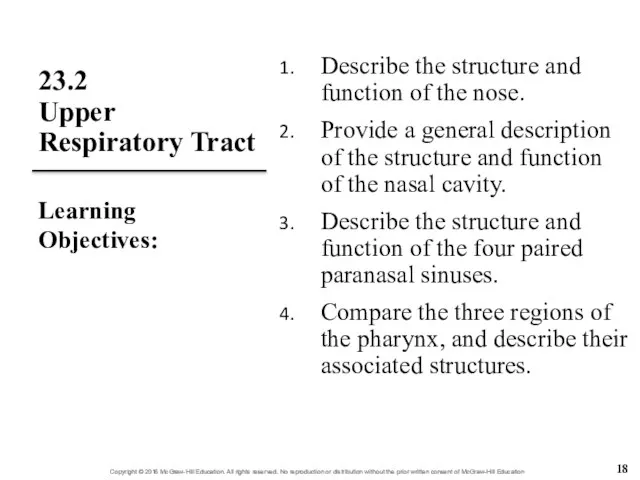 23.2 Upper Respiratory Tract Describe the structure and function of the