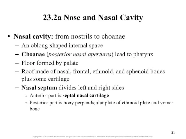 23.2a Nose and Nasal Cavity Nasal cavity: from nostrils to choanae