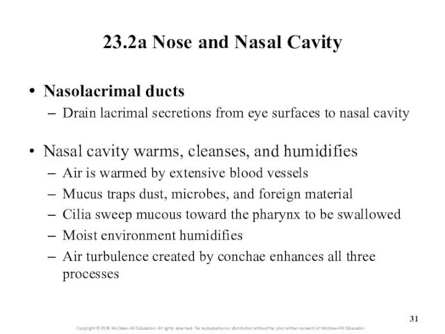 23.2a Nose and Nasal Cavity Nasolacrimal ducts Drain lacrimal secretions from