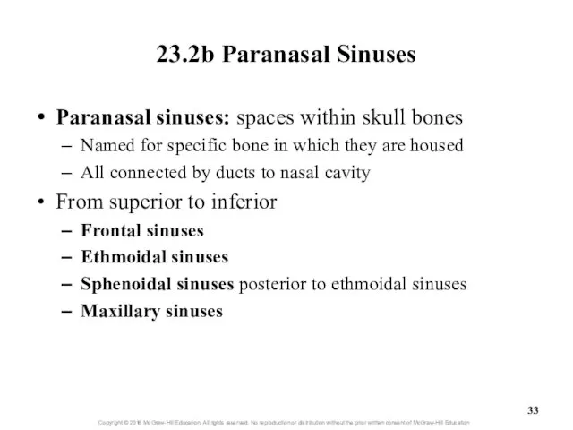 23.2b Paranasal Sinuses Paranasal sinuses: spaces within skull bones Named for