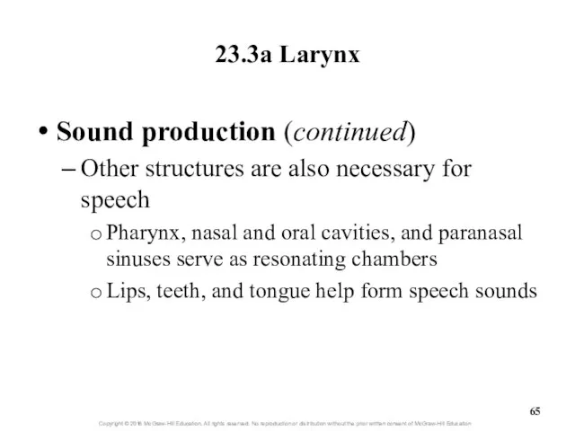 23.3a Larynx Sound production (continued) Other structures are also necessary for