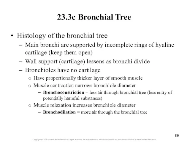 23.3c Bronchial Tree Histology of the bronchial tree Main bronchi are