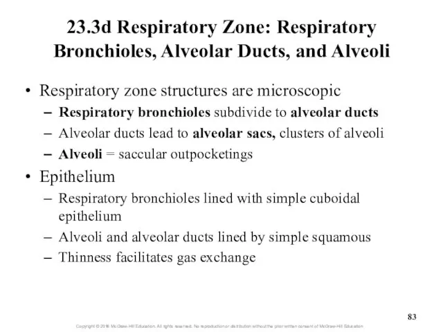 23.3d Respiratory Zone: Respiratory Bronchioles, Alveolar Ducts, and Alveoli Respiratory zone