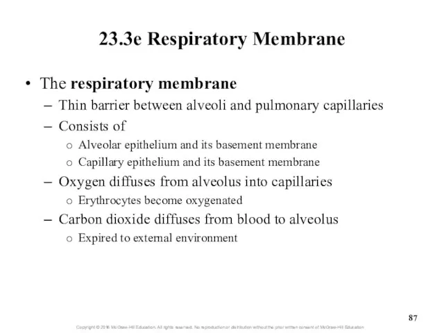 23.3e Respiratory Membrane The respiratory membrane Thin barrier between alveoli and