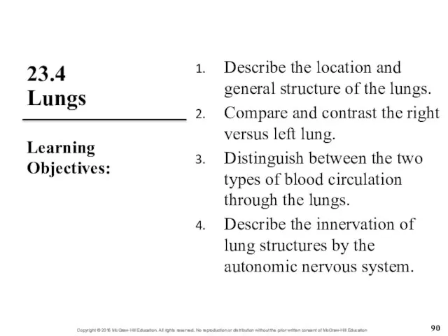 23.4 Lungs Describe the location and general structure of the lungs.