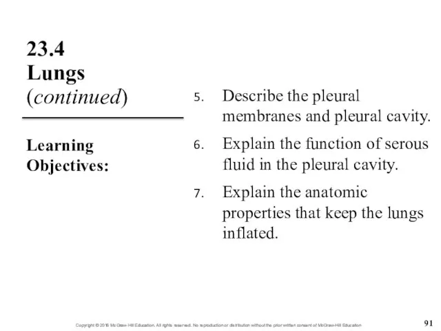 23.4 Lungs (continued) Describe the pleural membranes and pleural cavity. Explain