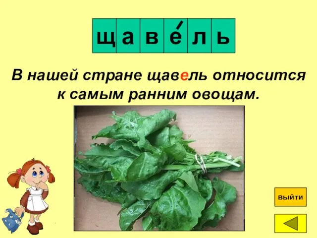 е щ а в ? выйти В нашей стране щавель относится