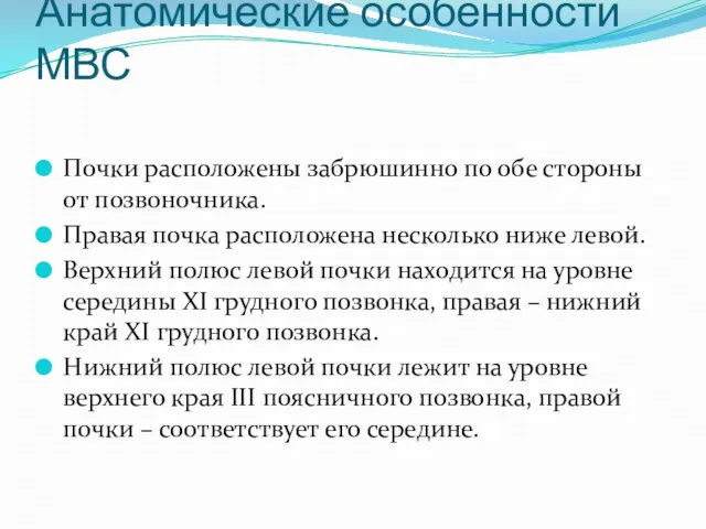 Анатомические особенности МВС Почки расположены забрюшинно по обе стороны от позвоночника.