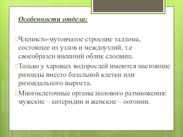 Особенности отдела: Членисто-мутовчатое строение таллома, состоящее из узлов и междоузлий, т.е