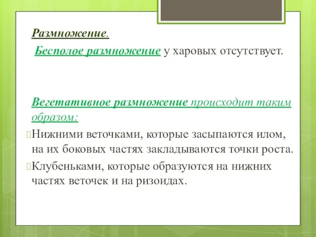 Размножение. Бесполое размножение у харовых отсутствует. Вегетативное размножение происходит таким образом: