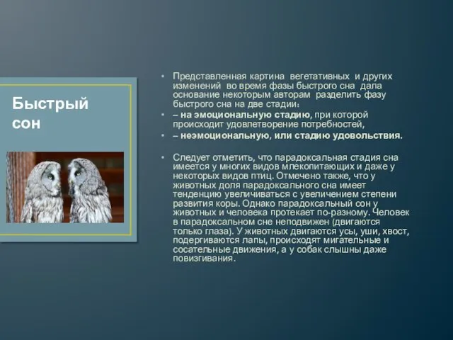 Представленная картина вегетативных и других изменений во время фазы быстрого сна