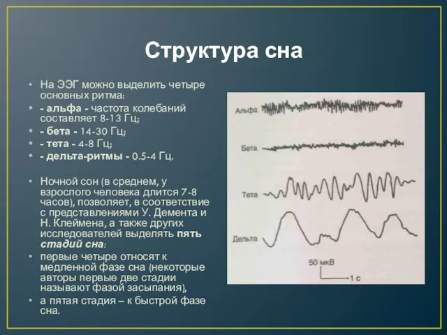 Структура сна На ЭЭГ можно выделить четыре основных ритма: - альфа