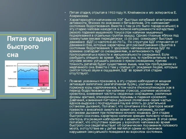 Пятая стадия, отрытая в 1953 году Н. Клейменом и его аспирантом