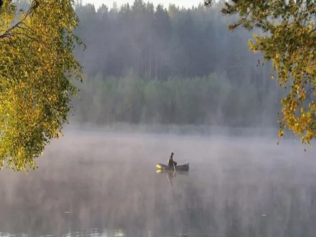 СПОСІБ ЖИТТЯ РИБ ЗАЛЕЖИТЬ ВІД ТЕМПЕРАТУРИ ВОДИ У ВОДОЙМІ. В ХОЛОДНІЙ