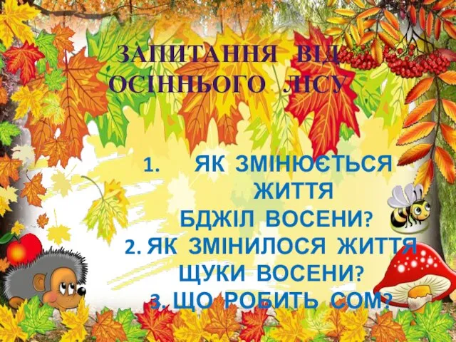 ЗАПИТАННЯ ВІД ОСІННЬОГО ЛІСУ ЯК ЗМІНЮЄТЬСЯ ЖИТТЯ БДЖІЛ ВОСЕНИ? 2. ЯК