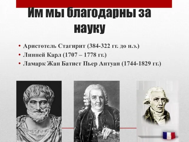 Им мы благодарны за науку Аристотель Стагирит (384-322 гг. до н.э.)