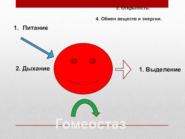 3. Открытость. Питание 2. Дыхание 1. Выделение Гомеостаз 4. Обмен веществ и энергии.