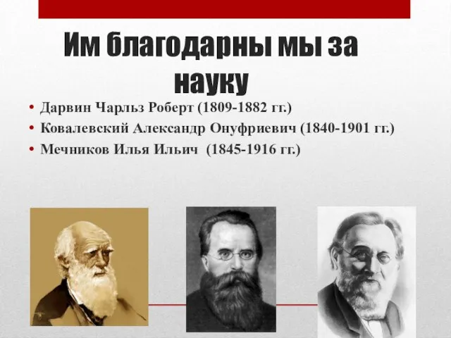 Им благодарны мы за науку Дарвин Чарльз Роберт (1809-1882 гг.) Ковалевский