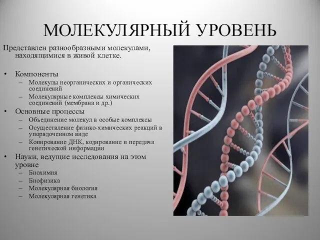 МОЛЕКУЛЯРНЫЙ УРОВЕНЬ Представлен разнообразными молекулами, находящимися в живой клетке. Компоненты Молекулы