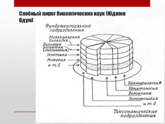 Слоёный пирог биологических наук (Юджин Одум)