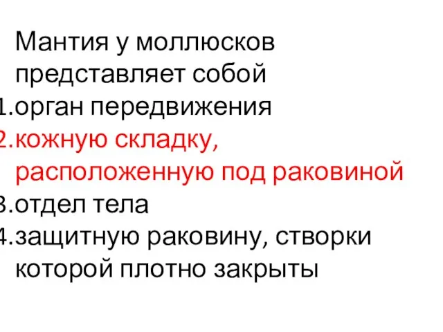 Мантия у моллюсков представляет собой орган передвижения кожную складку, расположенную под