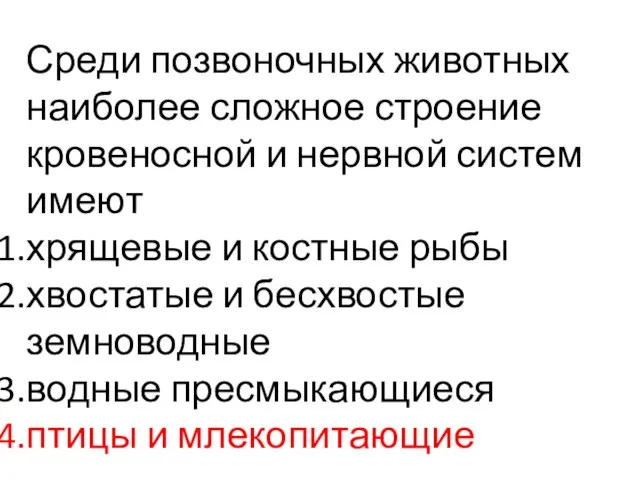 Среди позвоночных животных наиболее сложное строение кровеносной и нервной систем имеют