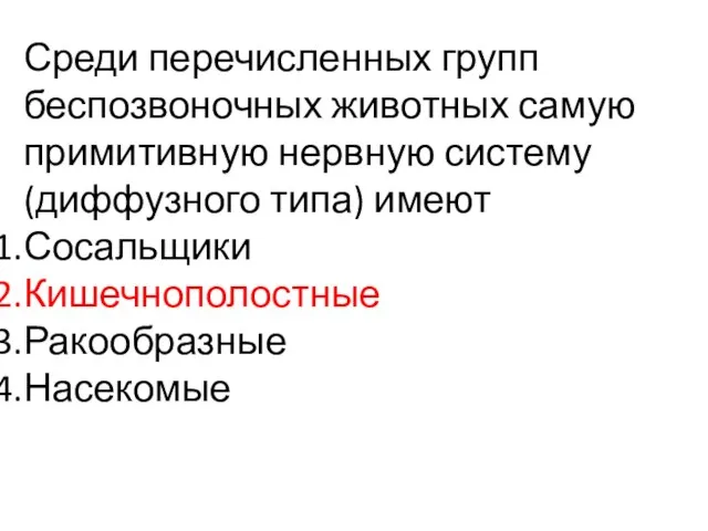 Среди перечисленных групп беспозвоночных животных самую примитивную нервную систему (диффузного типа) имеют Сосальщики Кишечнополостные Ракообразные Насекомые