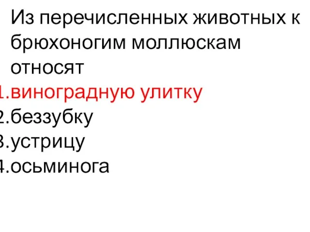 Из перечисленных животных к брюхоногим моллюскам относят виноградную улитку беззубку устрицу осьминога