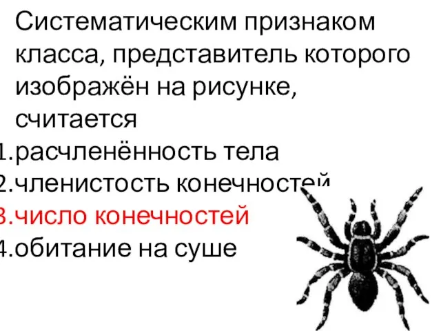 Систематическим признаком класса, представитель которого изображён на рисунке, считается расчленённость тела