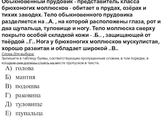 Обыкновенный прудовик - представитель класса брюхоногих моллюсков - обитает в прудах,